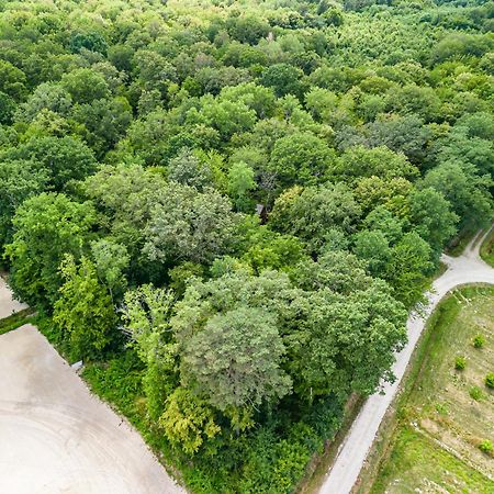 Hameau Des 40 Arpents Hotell Gergy Exteriör bild